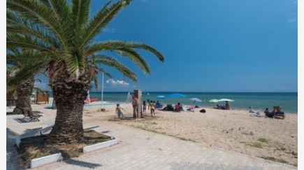 Nea Plagia